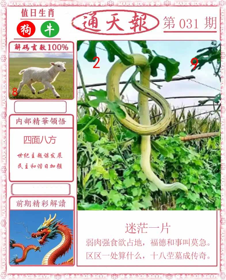 031期正版通天报[图]