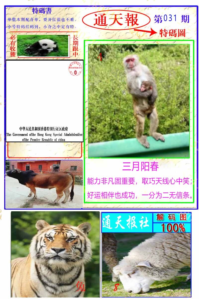 031期通天特解图[图]