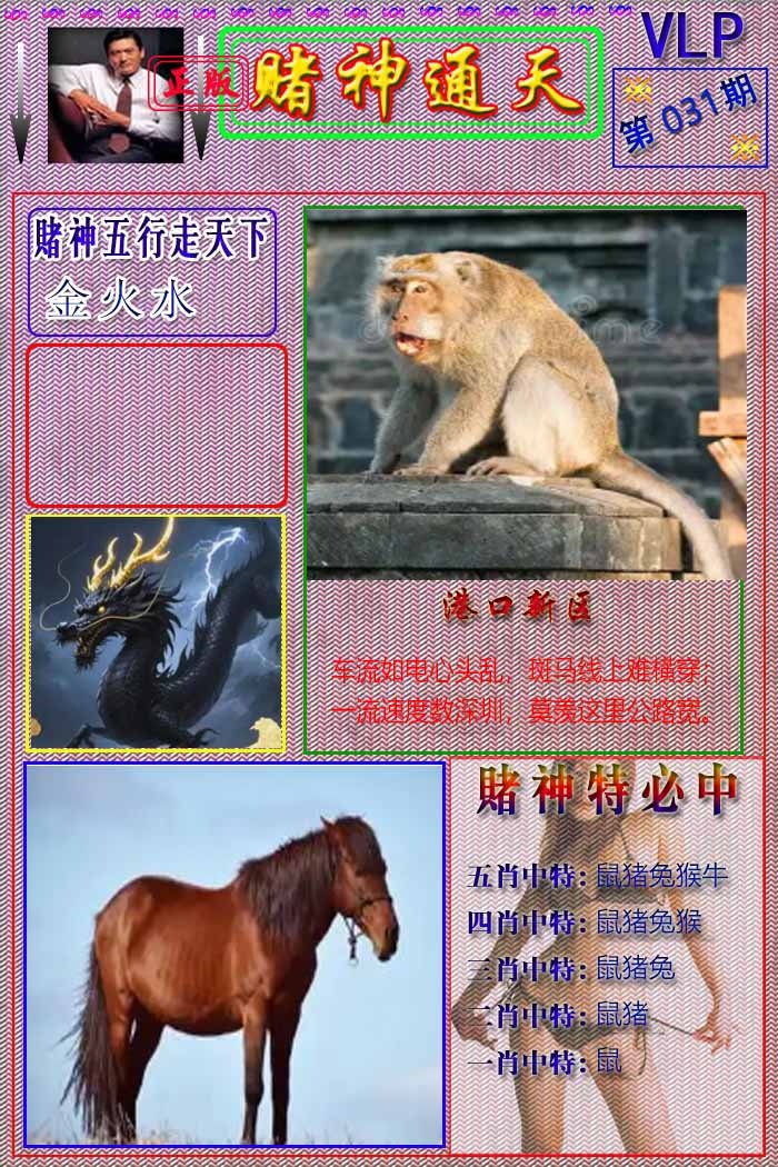 031期赌神通天报[图]