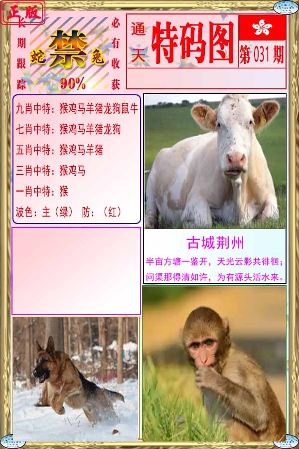 031期特码图[图]